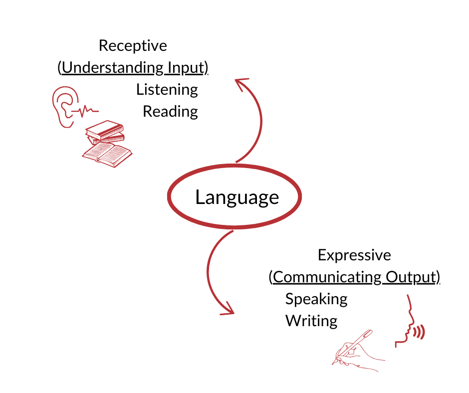 How are reading, writing, and speaking related?